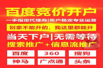 真实案例解析：SEM代运营托管公司的优势与挑战