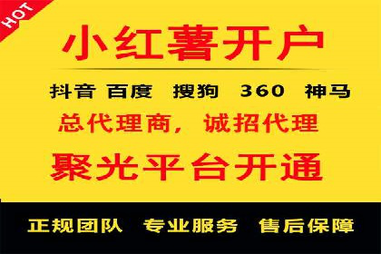 百度推广费用投入与品牌知名度提升的案例分析